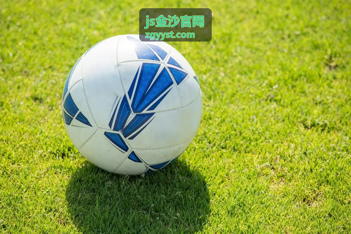js金沙官网会员服务说明封面